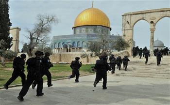   منظمة إسلامية أمريكية تدين الاعتداءات الإسرائيلية على المسجد الأقصى  