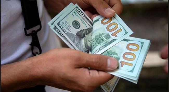 استقرار أسعار الدولار مقابل الجنيه