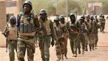   الجيش المالي يعلن القضاء على 12 إرهابيا في غارتين وسط البلاد