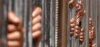  حبس 28 عاطلا بتهمة حيازة المخدرات بالقليوبية