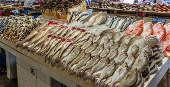   أسعار الأسماك اليوم بالأسواق 
