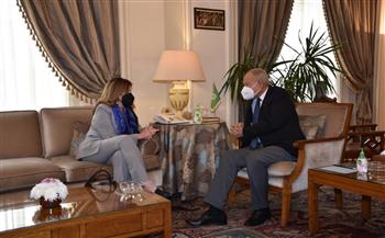   الأمين العام يبحث مع ستيفاني ويليامز آخر تطورات الملف الليبي