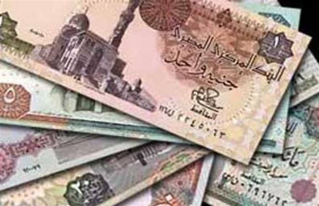 خالد نورالدين : التعامل بالجنيه في سداد رسوم شركات الملاحة يخفف الضغط على العملة الصعبة