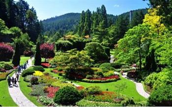   افتتاح حديقة نباتات بالصين تحتوي على 5 ملايين عينة نباتية تمثيلية من القارات الخمس