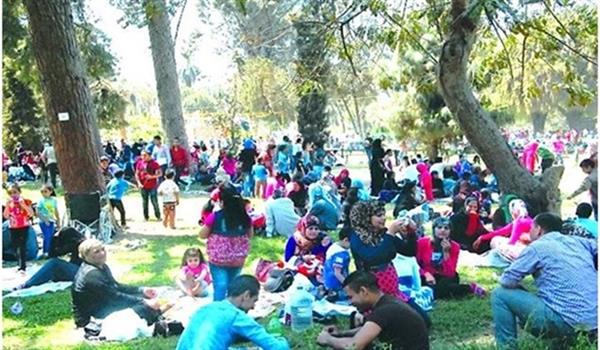 شم النسيم.. رمضان يقضي على أسواق الأسماك المملحة