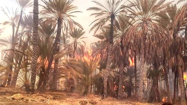 المغرب.. حرائق الواحات تشتعل مجددا ومخاوف من تداعيات اقتصادية