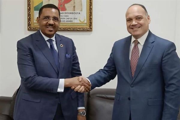 السفير المصري في كوناكري يلتقي وزير الصحة الغيني