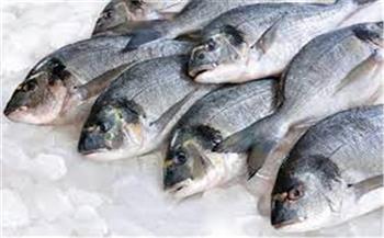   ارتفاع طفيف بأسعار الأسماك في سوق العبور