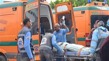   إصابة 16 عاملًا بمشروع توشكى في انقلاب ميكروباص بطريق أسوان - أبو سمبل 