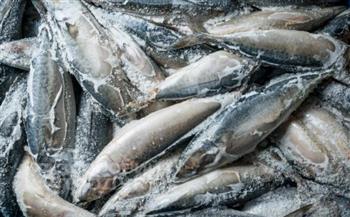   غرفة الدقهلية: أسواق الأسماك تعاني من نقص الماكريل والسردين