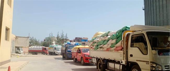 كفر الشيخ: توريد 51 طنا و671 كجم من القمح 