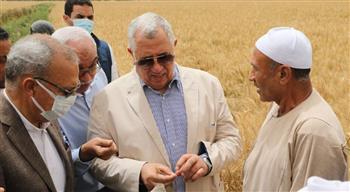   وزير الزراعة ومحافظ القليوبية يتفقدان حقول القمح بمركزي قها وبنها