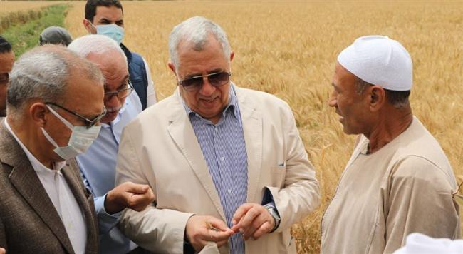 وزير الزراعة ومحافظ القليوبية يتفقدان حقول القمح بمركزي قها وبنها