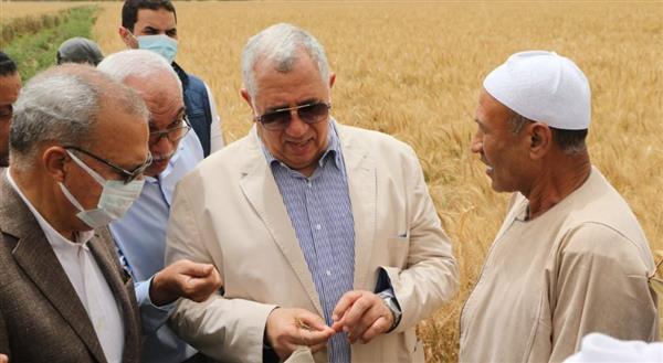 وزير الزراعة ومحافظ القليوبية يتفقدان حقول القمح بمركزي قها وبنها