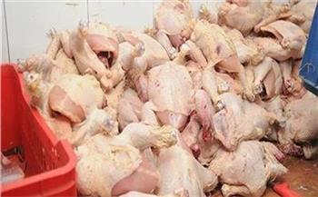 ضبط 19 طن دواجن فاسدة في مجزر بالبحيرة