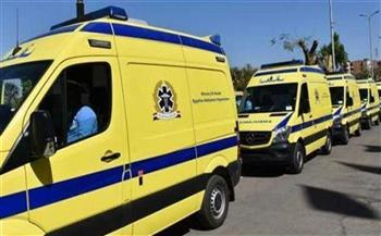 إصابة شخصين في حادث سير على طريق طنطا _المحلة 