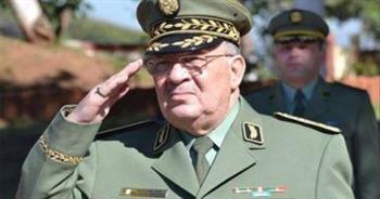رئيس أركان الجزائر: الجيش حقق نجاحا كبيرا في مكافحة الإرهاب