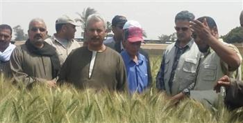   «الفلاحين»: تشيد بتكليفات الرئيس السيسي للحكومة بدعم مزارعي القمح