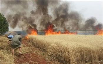   السيطرة على حريق نشب بفدان من محصول القمح بقرية الكوم الأصفر في سوهاج