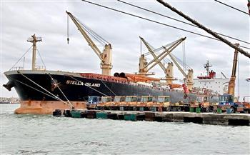 تداول 15 سفينة حاويات وبضائع عامة بموانئ بورسعيد