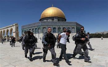   الخارجية تدين مواصلة اقتحامات المستوطنين الإسرائيليين لساحة المسجد الأقصى