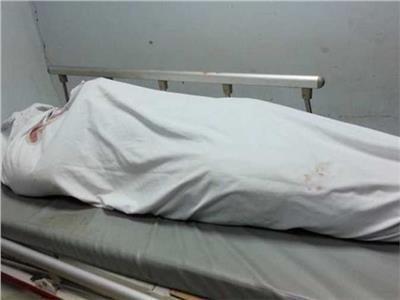 مصرع شاب صدمته سيارة جنوب محافظة بورسعيد