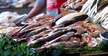 أسعار الأسماك اليوم بسوق العبور