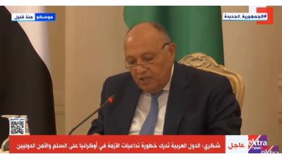 شكري: الدول العربية تدرك خطورة الأزمة فى أوكرانيا على السلم والأمن الدوليين