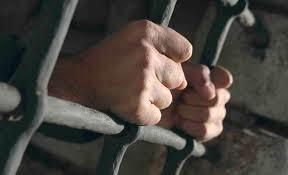   حبس 9 عاطلين لحيازتهم مواد مخدرة في القليوبية