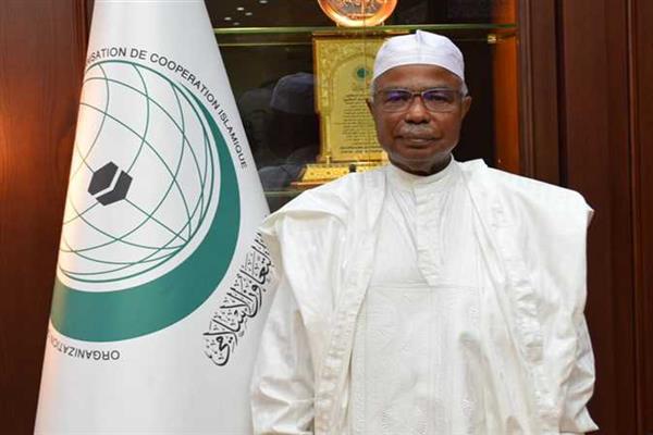 أمين «التعاون الإسلامي» يبحث تحديات الأمن الغذائي مع عميد القناصل العامين الأفارقة