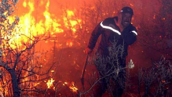كوريا الجنوبية تضخ 342 مليون دولار لدعم ضحايا حريق الغابات التي ضربت البلاد