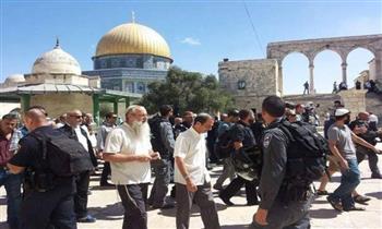   مستوطنون متطرفون يقتحمون "المسجد الأقصى" تحت حراسة قوات الاحتلال الإسرائيلي