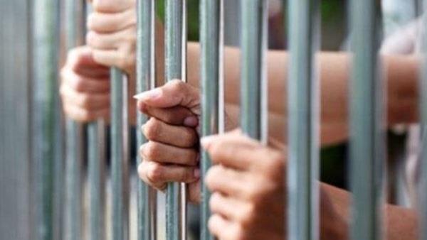 حبس اثنين وضبط آخرين في واقعة بلطجة تجار مخدرات بالمنوفية