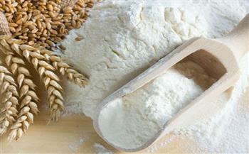   التحفظ على طن دقيق أبيض حر مجهول المصدر في مخبز بالإسكندرية 
