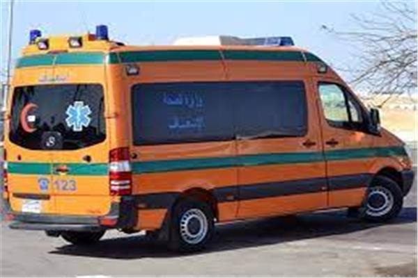 مصرع مسن وطفلة صدمتهما سيارة بـ«كوبرى الناموس» بالإسكندرية