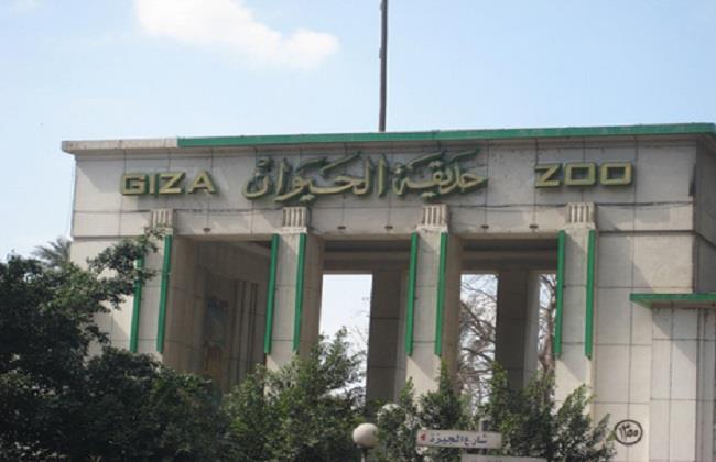 حدائق الحيوان: نتوقع زيارة 300 ألف شخص خلال أيام العيد