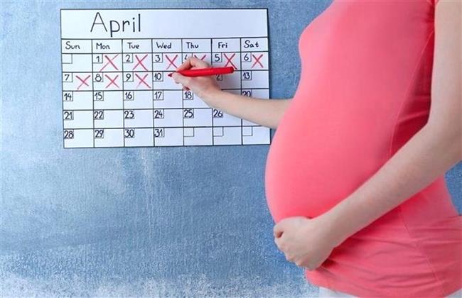 كيفية حساب فترة الحمل بالأسابيع والشهور