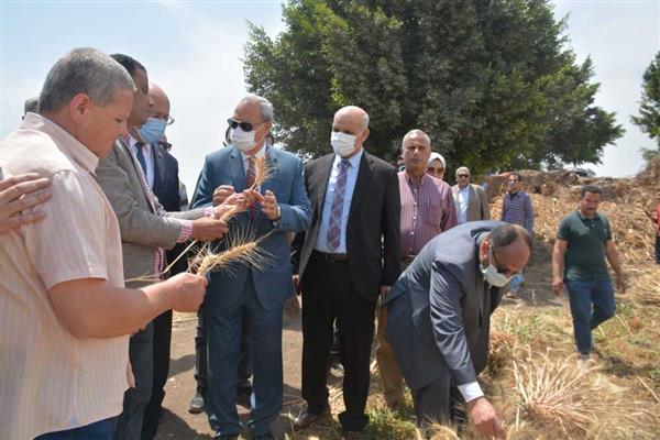 محافظ القليوبية ورئيس جامعة بنها يفتتحان موسم حصاد القمح بكلية الزراعة
