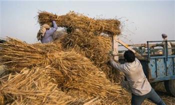   الهند تحظر تصدير القمح نهائيًا خوفا على أمنها الغذائي