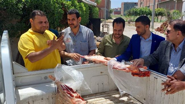 تحرير ١٩٥ محضرا وضبط ٢٦١٠ كجم لحوم غير صالحة للاستهلاك الآدمي  