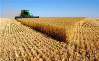   موسم القمح حقق انتاجية عالية وعلى المزارعين الأبتعاد عن شراء المبيدات الزراعية المجهولة 