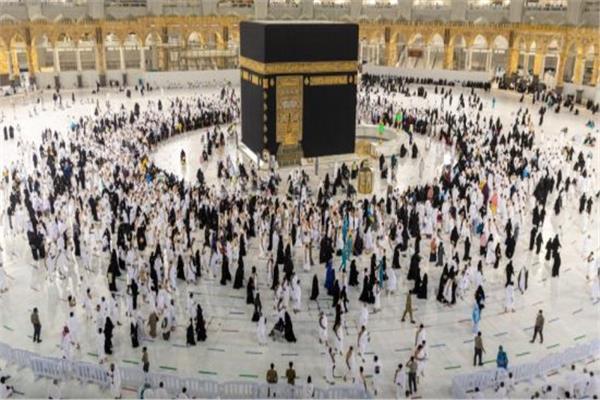 لأول مرة.. «الهدي» هدية التضامن للحجاج.. وإعلان الفائزين نهاية الأسبوع