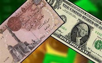 الدولار يحافظ على هدوئه مقابل الجنيه المصري فى بداية التعاملات الأسبوعية