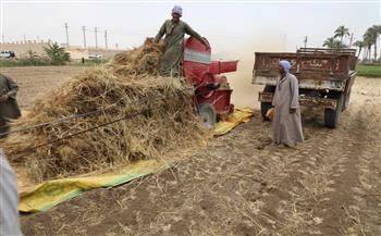   توريد 192 ألف طن من محصول القمح بالشون والصوامع بجميع مراكز المنيا