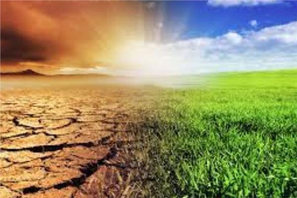 دراسة : تغير المناخ سيزيد من تدمير المحاصيل في العالم بنسبة 80٪
