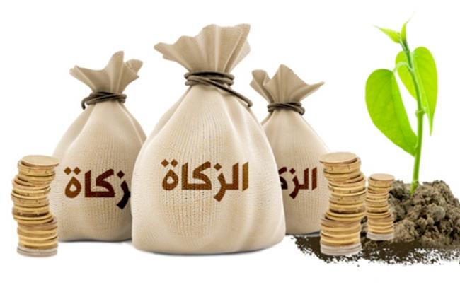 هل يجوز إعطاء الزكاة لابنتي التي لا يعمل زوجها؟.. الإفتاء توضح