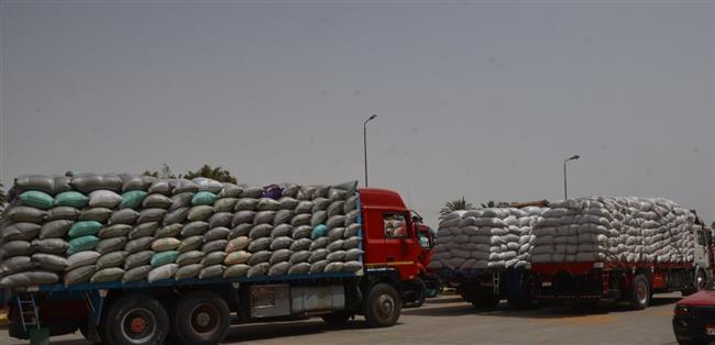  محافظ بني سويف: توريد 65 ألفا و673 طنا من القمح  المحلي بمواقع الاستلام