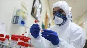   الجزائر تسجل ٤ إصابات جديدة بفيروس كورونا خلال الـ٢٤ ساعة الأخيرة