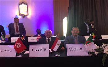 محمد محمود سكرتيرًا عامًا للاتحاد الإفريقي للمصارعة 