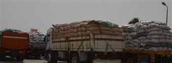    محافظ بني سويف: توريد أكثر من 75 ألف طن من القمح المحلي 